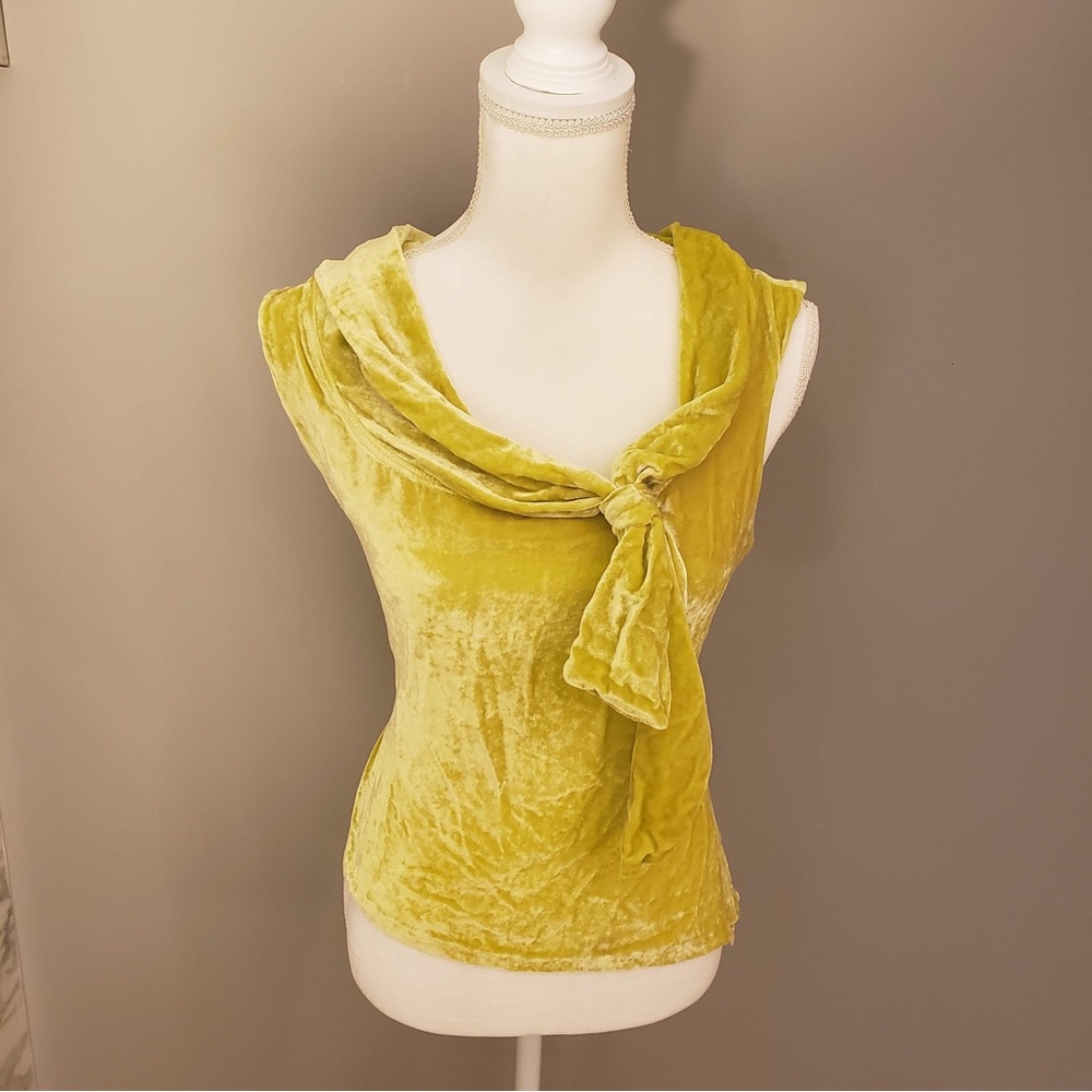 NEW Tara Jones Yellow Green Velvet Top NWT